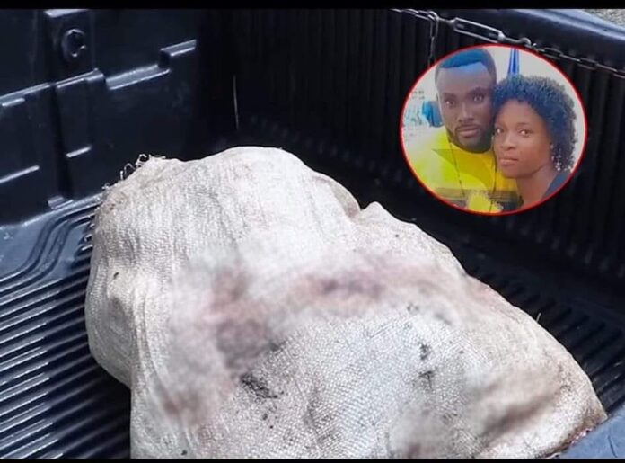 434315495_935446944947883_5107013670228662605_n