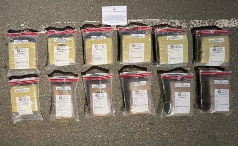 DNCD apresan cuatro hombres con 161 libras de marihuana en dos operativos