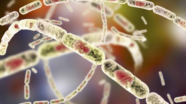 ¿que-es-el-antrax-focus-0-0-608-342