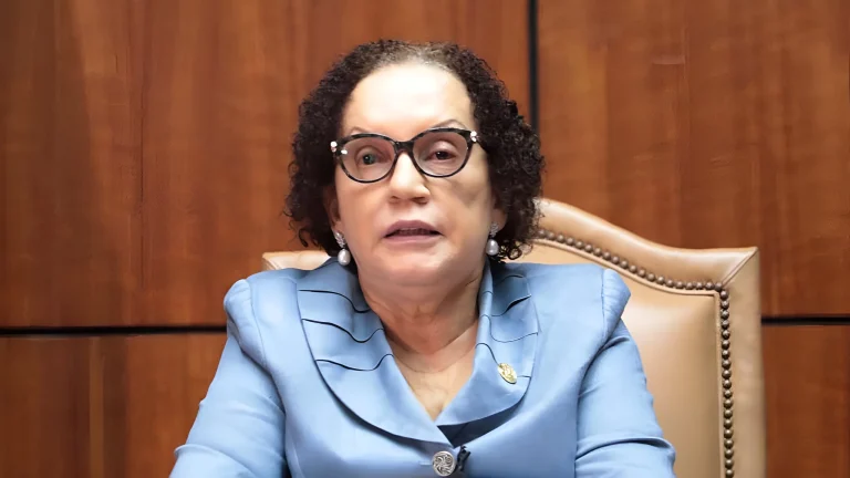 Procuradora Miriam Germán dice no es obligatorio consultarla sobre reforma a la Constitución