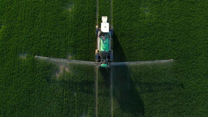 WhatsApp-Image-2025-02-13-at-10.41