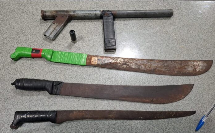 l66c73f99-a188-4900-9939-0f5dde4eab4e (1)-min