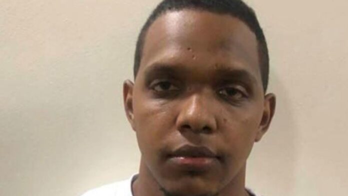 dianelys-collage-no-usar--1-3927696f-min