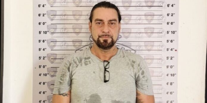 loris-di-castri--750x375